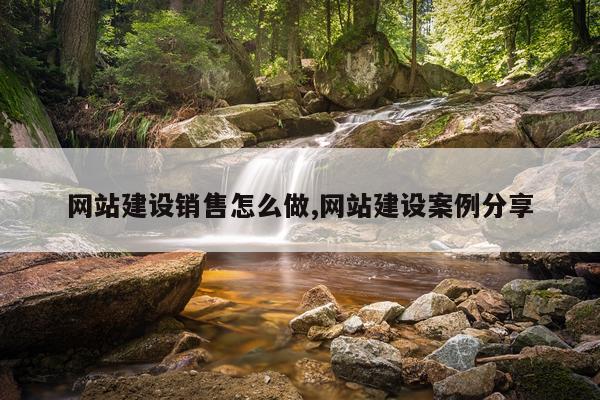网站建设销售怎么做,网站建设案例分享
