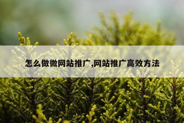 怎么做微网站推广,网站推广高效方法