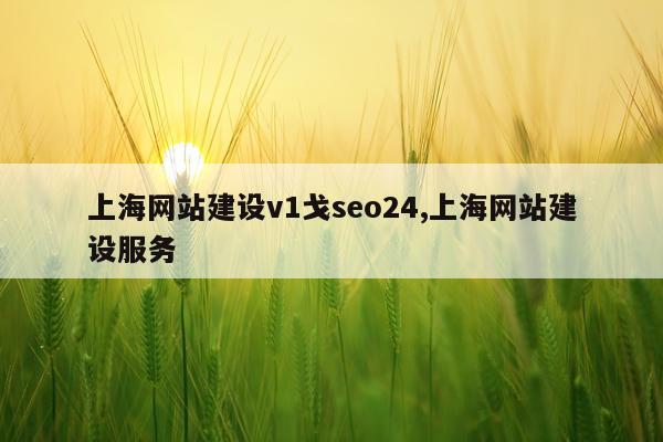 上海网站建设v1戈seo24,上海网站建设服务