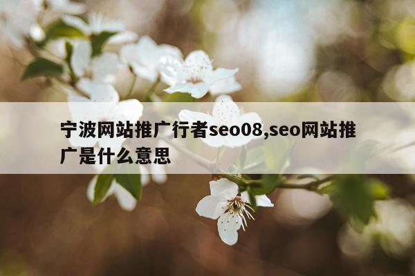 宁波网站推广行者seo08,seo网站推广是什么意思