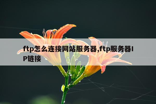 ftp怎么连接网站服务器,ftp服务器IP链接