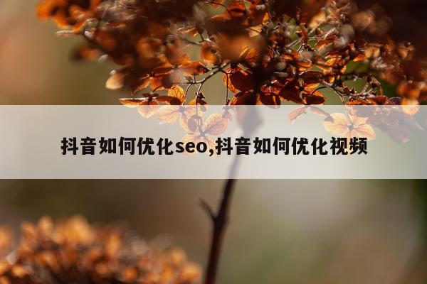 抖音如何优化seo,抖音如何优化视频