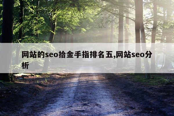 网站的seo拾金手指排名五,网站seo分析