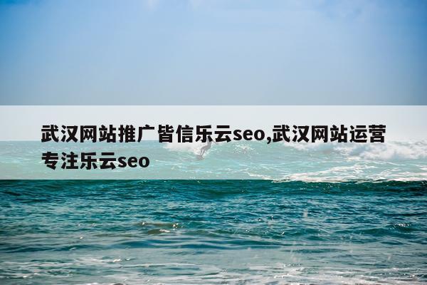 武汉网站推广皆信乐云seo,武汉网站运营专注乐云seo