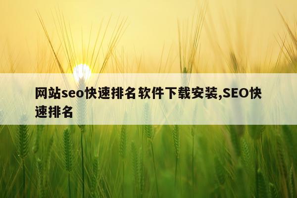 网站seo快速排名软件下载安装,SEO快速排名
