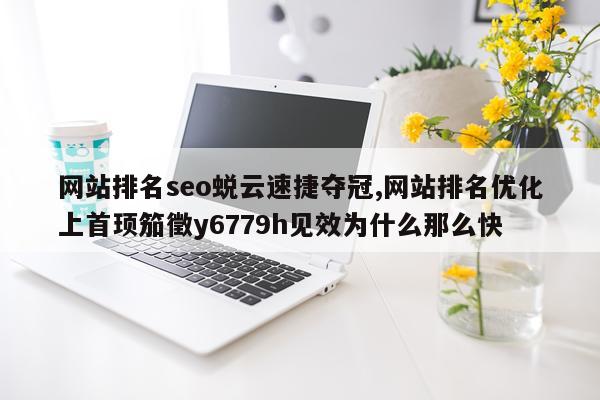 网站排名seo蜕云速捷夺冠,网站排名优化上首顼笳徵y6779h见效为什么那么快