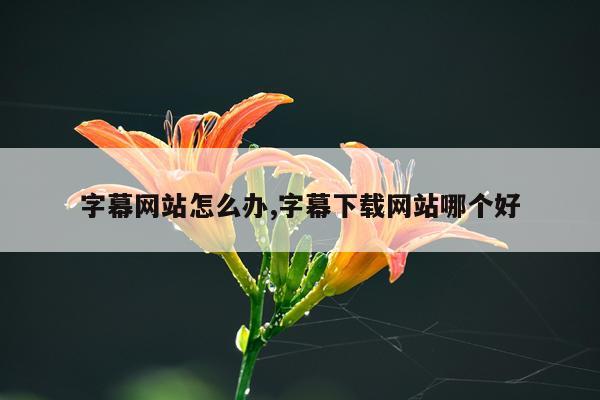 字幕网站怎么办,字幕下载网站哪个好