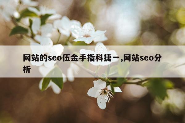 网站的seo伍金手指科捷一,网站seo分析