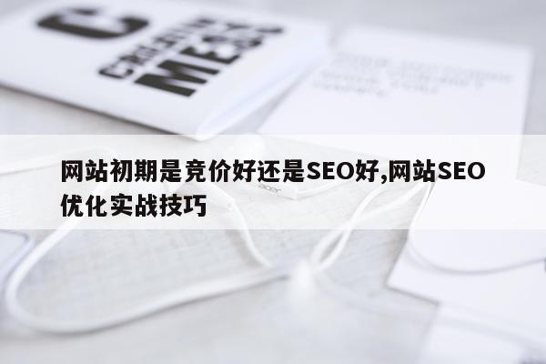 网站初期是竞价好还是SEO好,网站SEO优化实战技巧