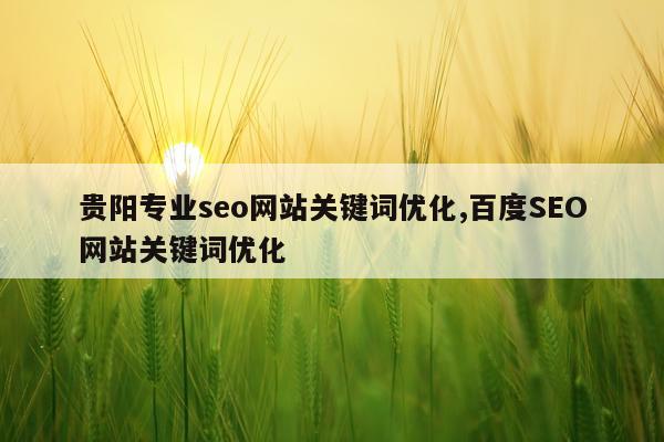 贵阳专业seo网站关键词优化,百度SEO网站关键词优化
