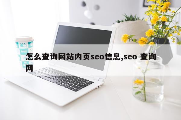 怎么查询网站内页seo信息,seo 查询网