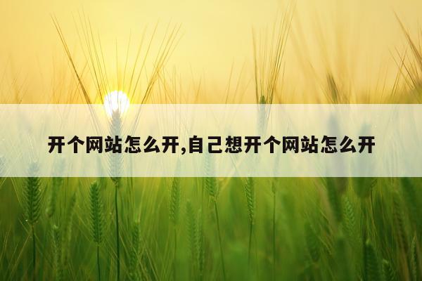 开个网站怎么开,自己想开个网站怎么开