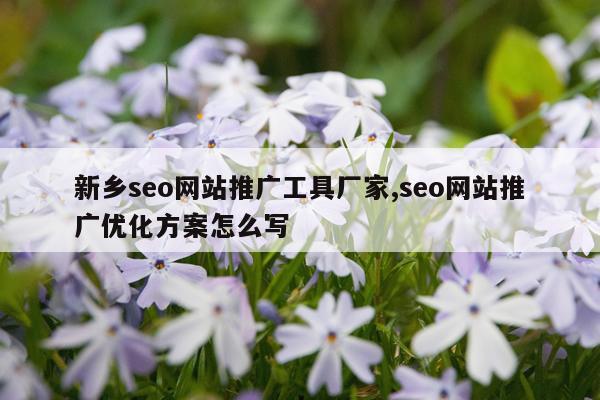 新乡seo网站推广工具厂家,seo网站推广优化方案怎么写