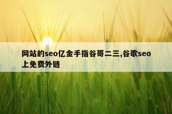 网站的seo亿金手指谷哥二三,谷歌seo上免费外链
