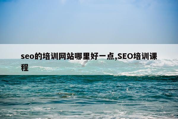 seo的培训网站哪里好一点,SEO培训课程