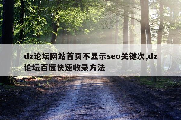 dz论坛网站首页不显示seo关键次,dz论坛百度快速收录方法