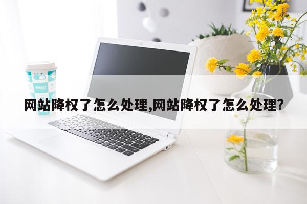 网站降权了怎么处理,网站降权了怎么处理?
