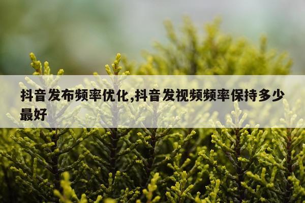 抖音发布频率优化,抖音发视频频率保持多少最好