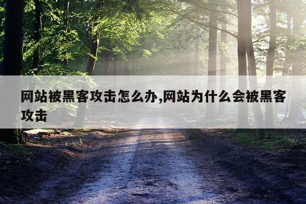 网站被黑客攻击怎么办,网站为什么会被黑客攻击