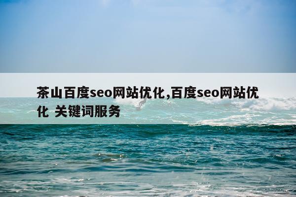 茶山百度seo网站优化,百度seo网站优化 关键词服务