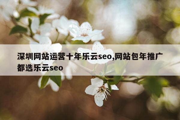 深圳网站运营十年乐云seo,网站包年推广都选乐云seo