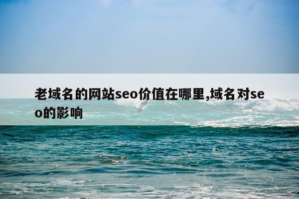 老域名的网站seo价值在哪里,域名对seo的影响