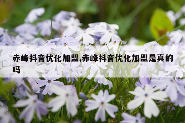 赤峰抖音优化加盟,赤峰抖音优化加盟是真的吗