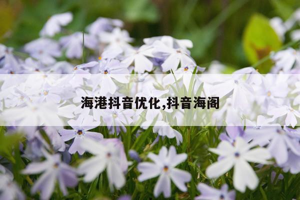 海港抖音优化,抖音海阁