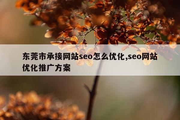 东莞市承接网站seo怎么优化,seo网站优化推广方案