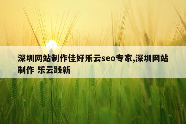 深圳网站制作佳好乐云seo专家,深圳网站制作 乐云践新