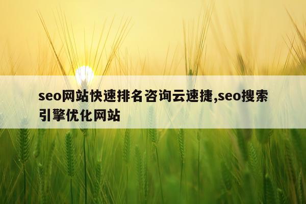 seo网站快速排名咨询云速捷,seo搜索引擎优化网站