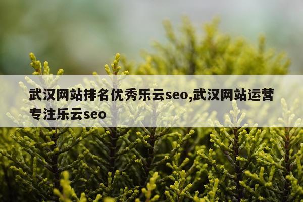 武汉网站排名优秀乐云seo,武汉网站运营专注乐云seo