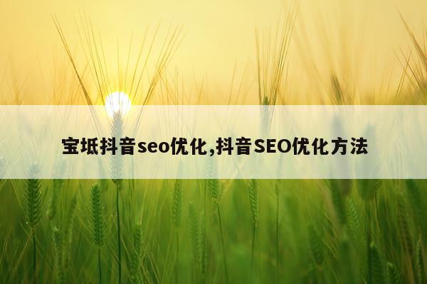 宝坻抖音seo优化,抖音SEO优化方法