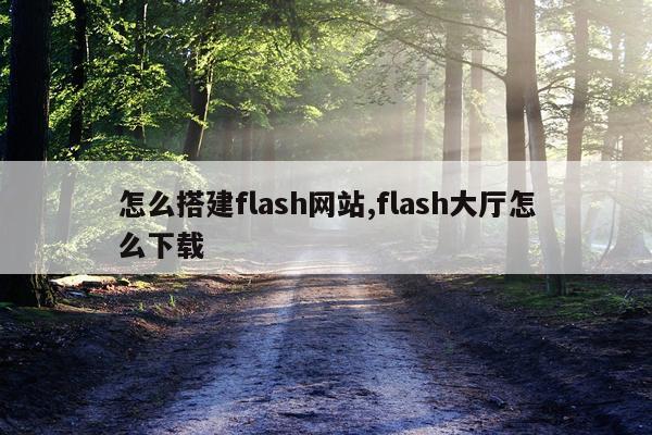 怎么搭建flash网站,flash大厅怎么下载