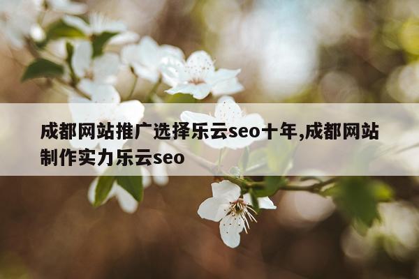 成都网站推广选择乐云seo十年,成都网站制作实力乐云seo