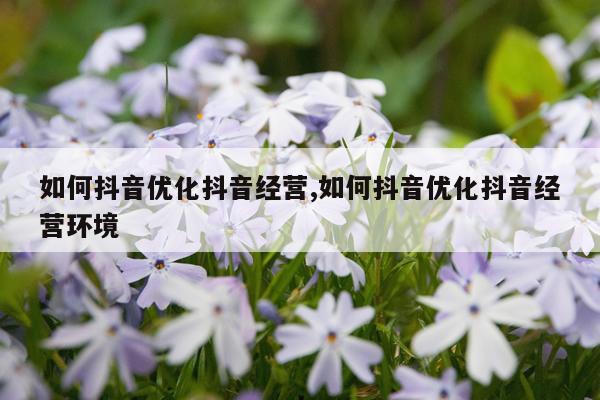 如何抖音优化抖音经营,如何抖音优化抖音经营环境