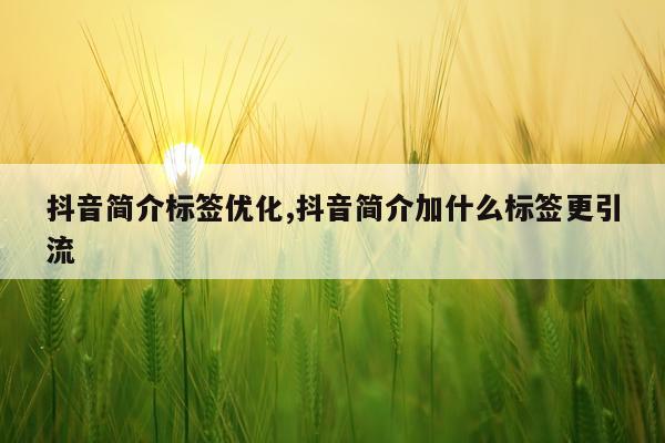 抖音简介标签优化,抖音简介加什么标签更引流