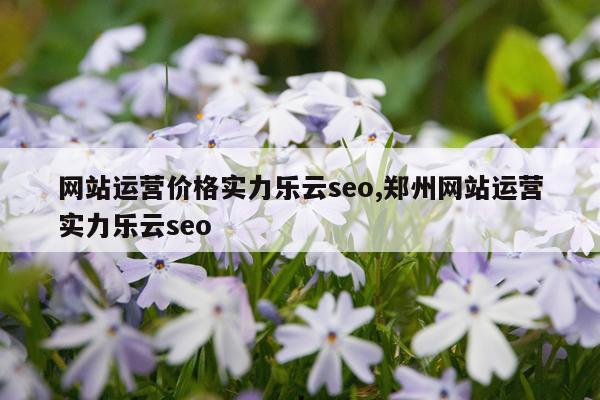 网站运营价格实力乐云seo,郑州网站运营实力乐云seo