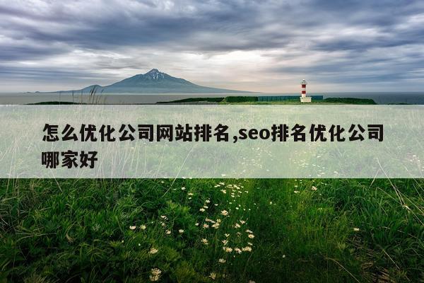 怎么优化公司网站排名,seo排名优化公司哪家好