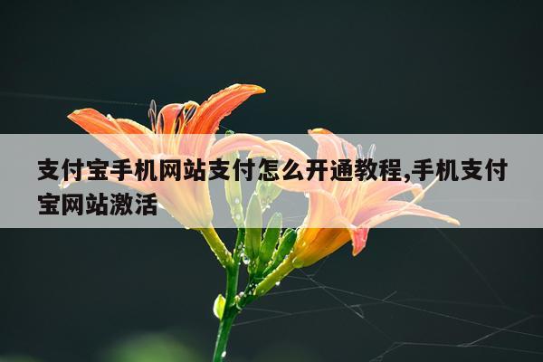 支付宝手机网站支付怎么开通教程,手机支付宝网站激活
