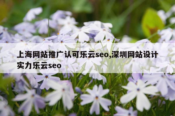 上海网站推广认可乐云seo,深圳网站设计实力乐云seo