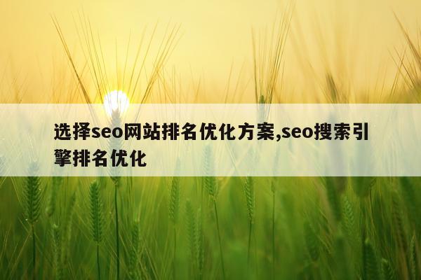 选择seo网站排名优化方案,seo搜索引擎排名优化