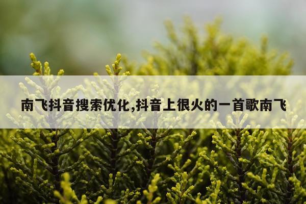南飞抖音搜索优化,抖音上很火的一首歌南飞