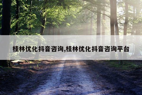 桂林优化抖音咨询,桂林优化抖音咨询平台