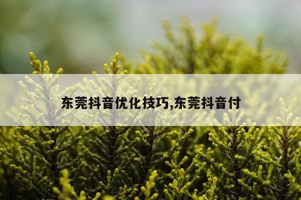 东莞抖音优化技巧,东莞抖音付