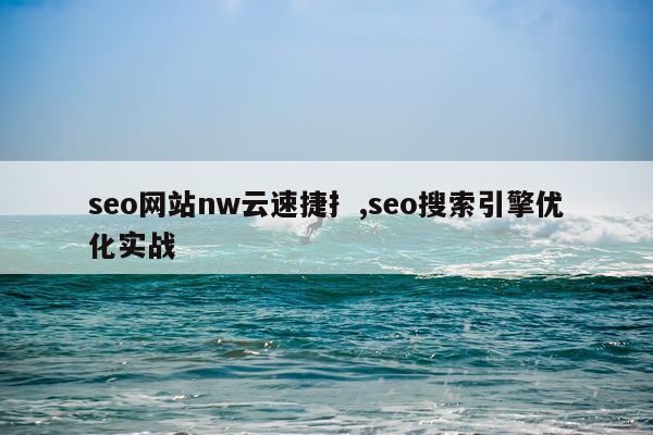 seo网站nw云速捷扌,seo搜索引擎优化实战