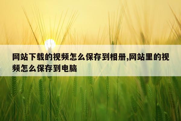 网站下载的视频怎么保存到相册,网站里的视频怎么保存到电脑
