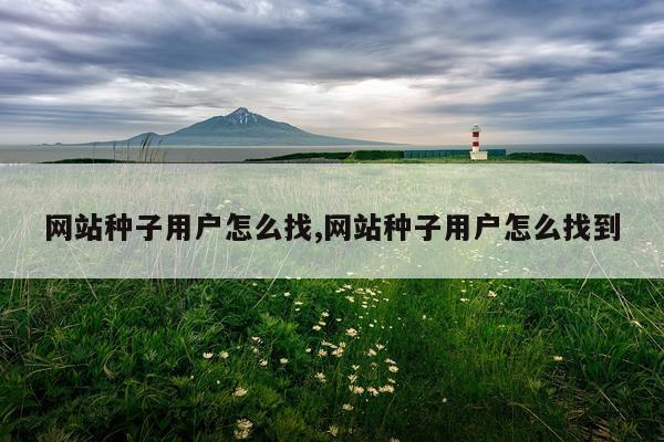 网站种子用户怎么找,网站种子用户怎么找到