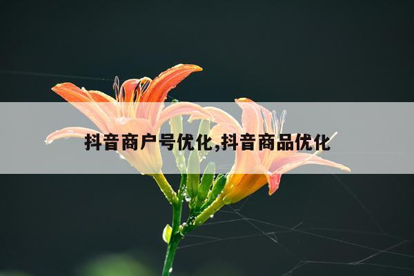 抖音商户号优化,抖音商品优化