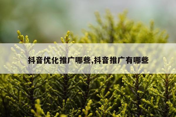 抖音优化推广哪些,抖音推广有哪些